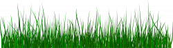 Green Grass Clip art - Green, fresh grass 2000*565 transprent Png ...