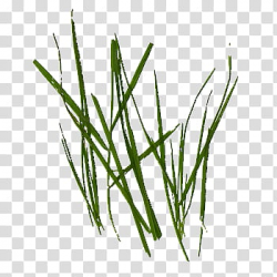Grass Single Nozzle , green grasses transparent background ...