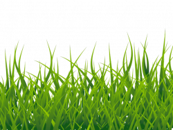 Free Grass Cliparts Free Download Clip Art - carwad.net