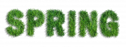 Spring of Grass PNG Clipart | Gallery Yopriceville - High-Quality ...