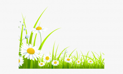 Jasmine Clipart Grass Flower - Grass Spring Png #1301335 ...