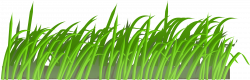 Clipart - Grass texture