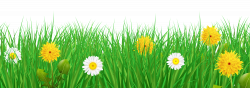 Grass and Flowers Transparent PNG Clip Art Image | Gallery ...