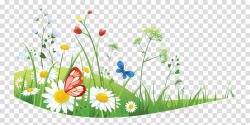 Summer Flower Background clipart - Summer, Flower, Grass ...