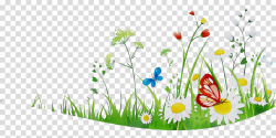 Summer Flower Background clipart - Grass, Plant, Botany ...