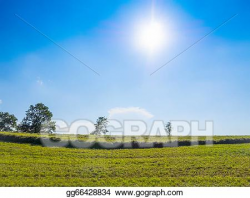 Drawing - Green grass and blue sky with sun. Clipart Drawing ...
