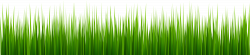 Grass PNG Clip Art - Best WEB Clipart
