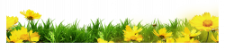 Template Clip art - Yellow floral grass bottom border 2505*567 ...