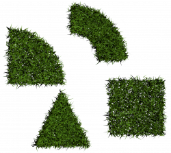 Grass Top View Clipart Png - Clipartly.comClipartly.com