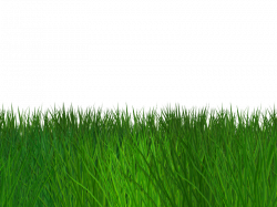 Border Grass Seamless Transparent Background Free (Nature-Grass-And ...