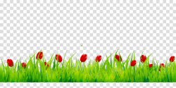 Tulip Flower clipart - Flower, Tulip, Grass, transparent ...