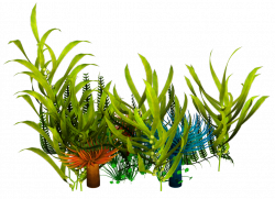 Underwater Aquatic Plants Seaweed Clip art - reef 1024*745 ...