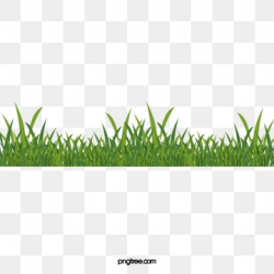 Green Grass Png, Vector, PSD, and Clipart With Transparent ...