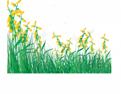 Flower Lawn Clip art - Cartoon spring flowers fresh grass 725*567 ...