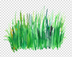 Green grass painting, Green Watercolor painting, Watercolor ...