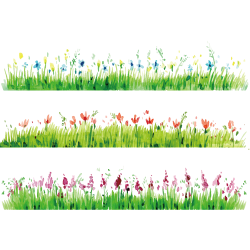 Watercolor painting Flower Photography - Drawing grass border with ...
