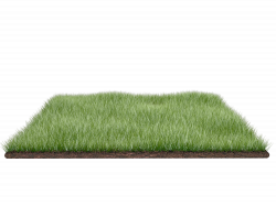 Grass Transparent PNG Pictures - Free Icons and PNG Backgrounds
