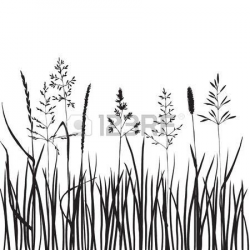 wild grass: black grass silhouettes, hand drawn wild cereals ...