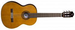 Espana Classical Solid Cedar - SN | Dean Guitars