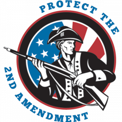 Second Amendment Profile Picture Flag Overlay