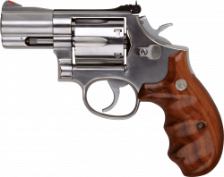 Small Revolver Handgun transparent PNG - StickPNG
