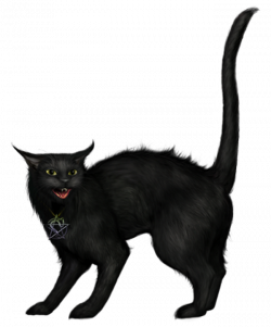 Creepy Black Cat PNG Picture | Gallery Yopriceville - High-Quality ...