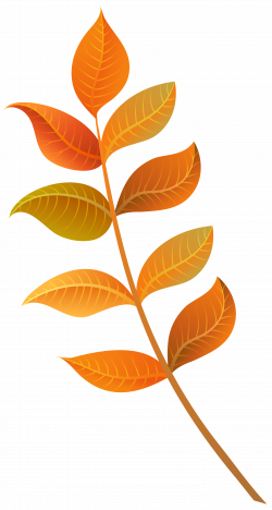 Fall Decorative Leaves PNG Clipart Image | Gallery Yopriceville ...