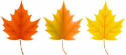 Autumn Leaves Set PNG Clip Art Image | Gallery Yopriceville - High ...