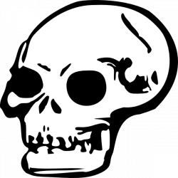 Human Skull Clip Art at Clker.com - vector clip art online, royalty ...