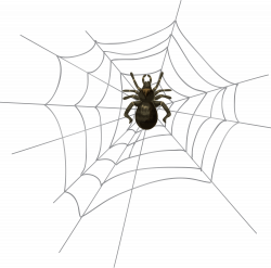 Halloween Spider Web PNG Clip Art | Gallery Yopriceville - High ...
