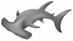 Hammerhead shark Clip art - sharks png download - 3000*1681 ...