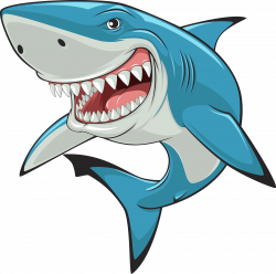 Hammerhead shark Great white shark Clip art - Vector Shark 3793*3773 ...