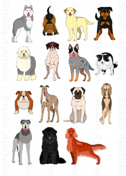 group of large and middle dogs breeds hand drawn1 – Studio Ayutaka ...