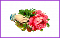 Astonishing Red Rose Clipart Welcome Flower Pencil And In Color Of ...