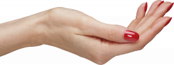 Hands PNG Image - PurePNG | Free transparent CC0 PNG Image Library