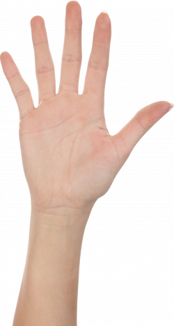 Five Finger Hand PNG Image - PurePNG | Free transparent CC0 PNG ...