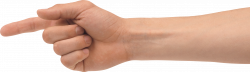 One Finger Hand PNG Image - PurePNG | Free transparent CC0 PNG Image ...