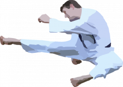 Karate Clipart Silhouette transparent PNG - StickPNG