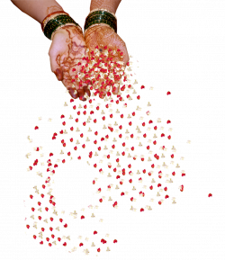 Indian Wedding png images and clipart free download