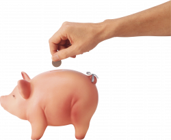 Hand Putting Money Into Saving Pig | Isolated Stock Photo by noBACKS.com