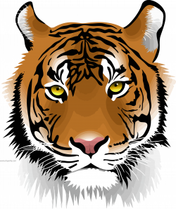 Saber Tooth Tiger Clipart at GetDrawings.com | Free for personal use ...