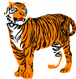 Tigres clipart illustration - Pencil and in color tigres clipart ...
