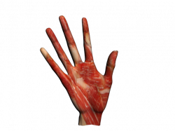 zombie hand by 32cherry on DeviantArt