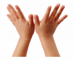 Child Hand Png - Children's Hands Free PNG Images & Clipart ...