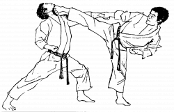 Shotokan Karate, karate (empty hand) originates from the Ryukyu ...