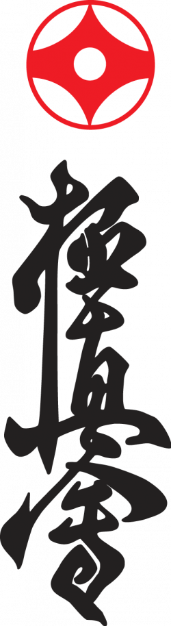 Kyokushin Karate Logo and Symbol | Karate | Pinterest | Kyokushin ...