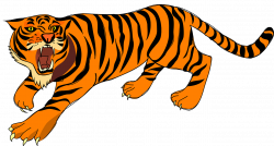 Tigres clipart tough - Pencil and in color tigres clipart tough