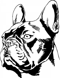 French Bulldog Head Decal