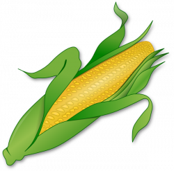 corn clipart | Corn clip art - vector clip art online, royalty free ...
