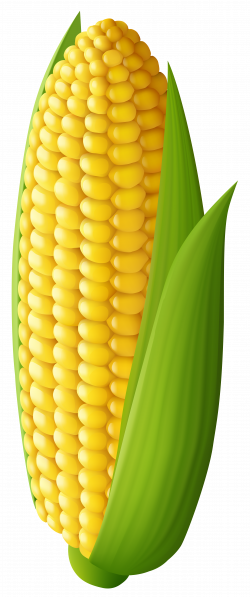Corn Transparent PNG Clip Art Image | Gallery Yopriceville - High ...